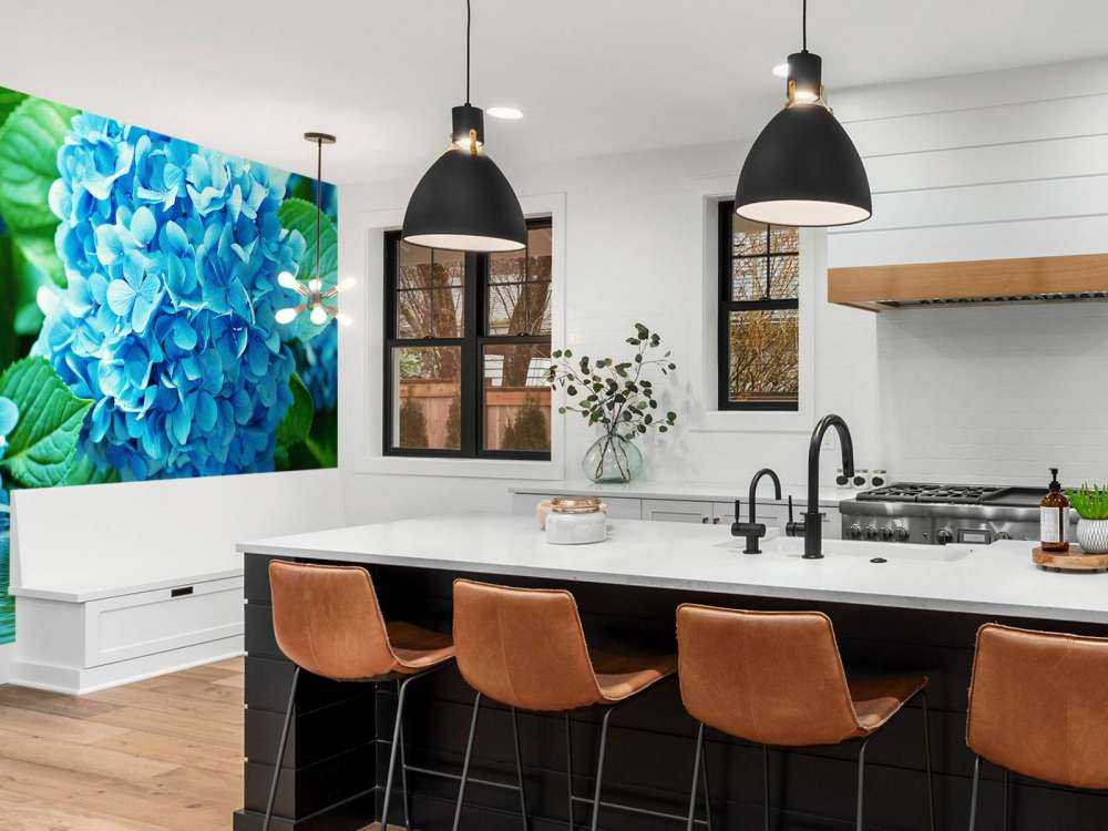 Hortensia dans l'eau