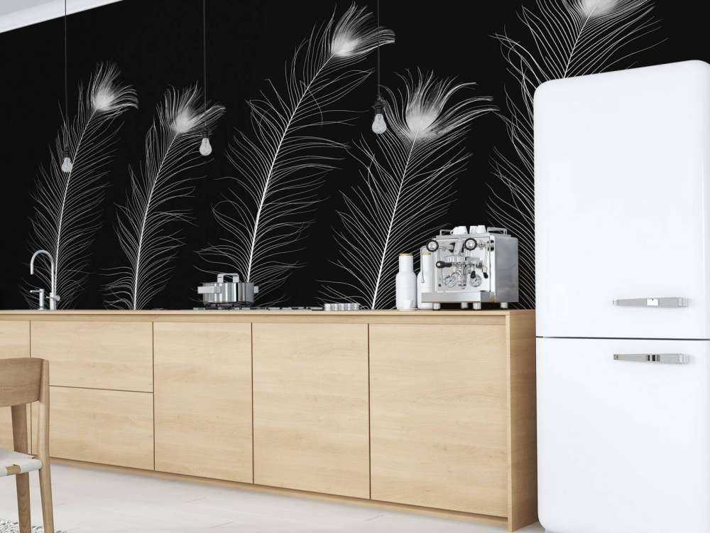 Plumes de paon blanches