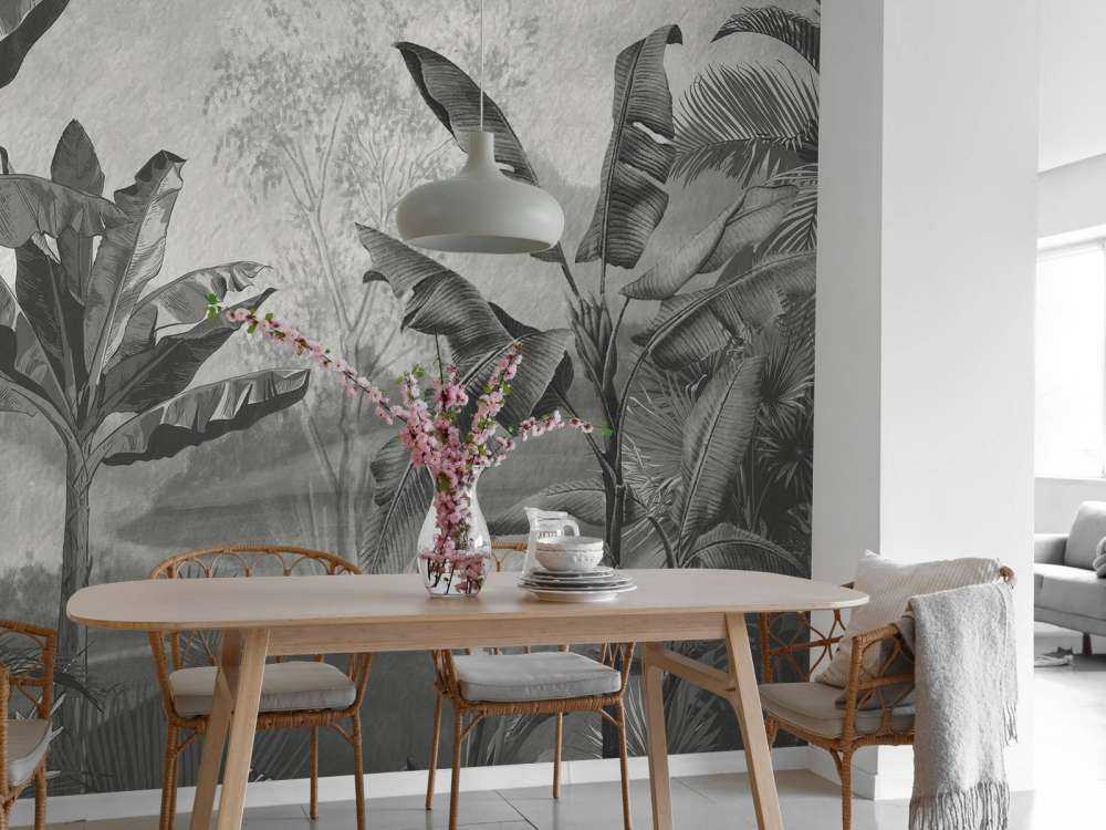 Bananiers en noir et blanc