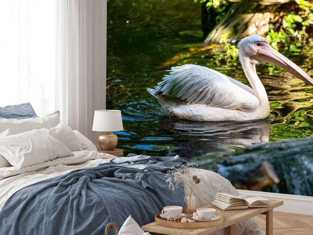 Pélican sur la rivière