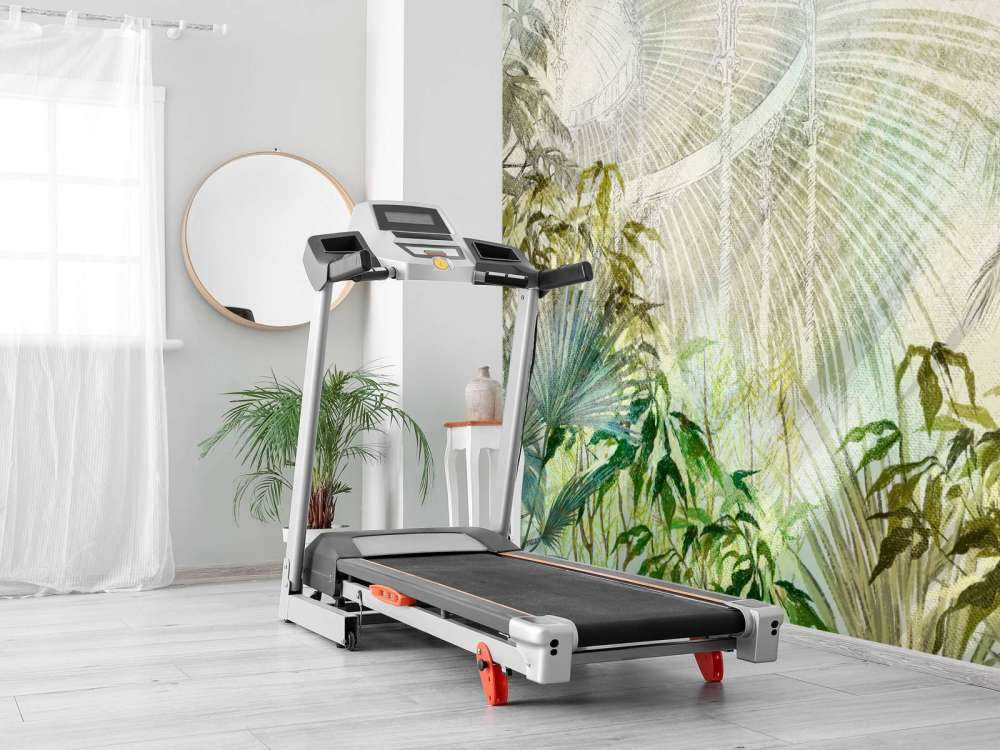 Verrière avec plantes tropicales