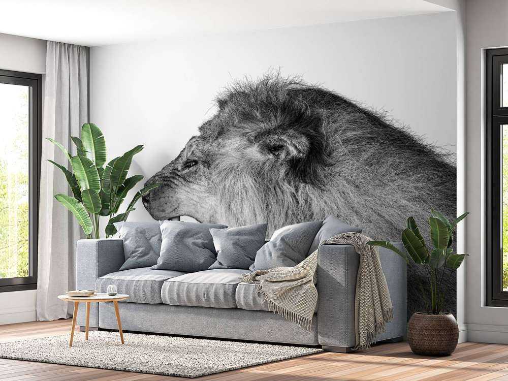 Lion rugissant blanc