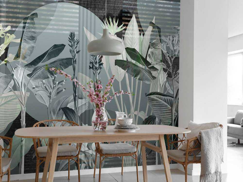 Dreams and Tropics 3