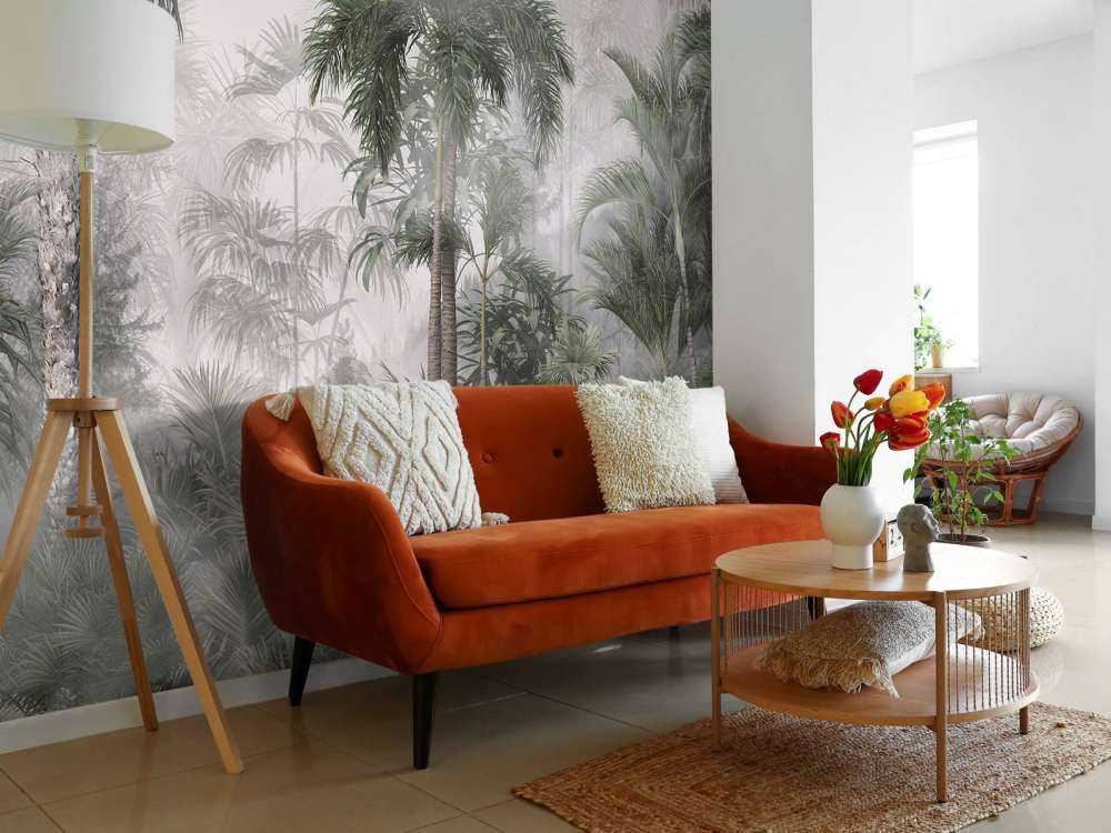 Brume Matinale dans les Tropiques