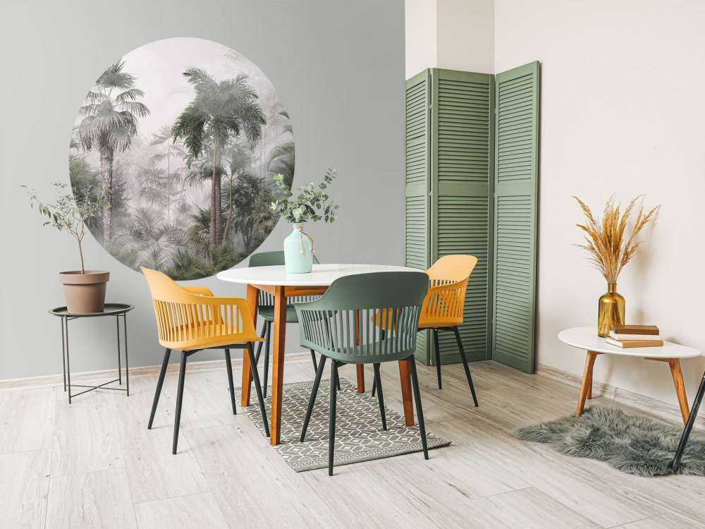 Brume Matinale dans les Tropiques