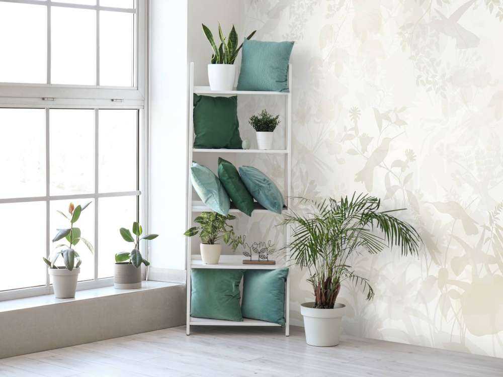 Symphonie de jardin dans le sable