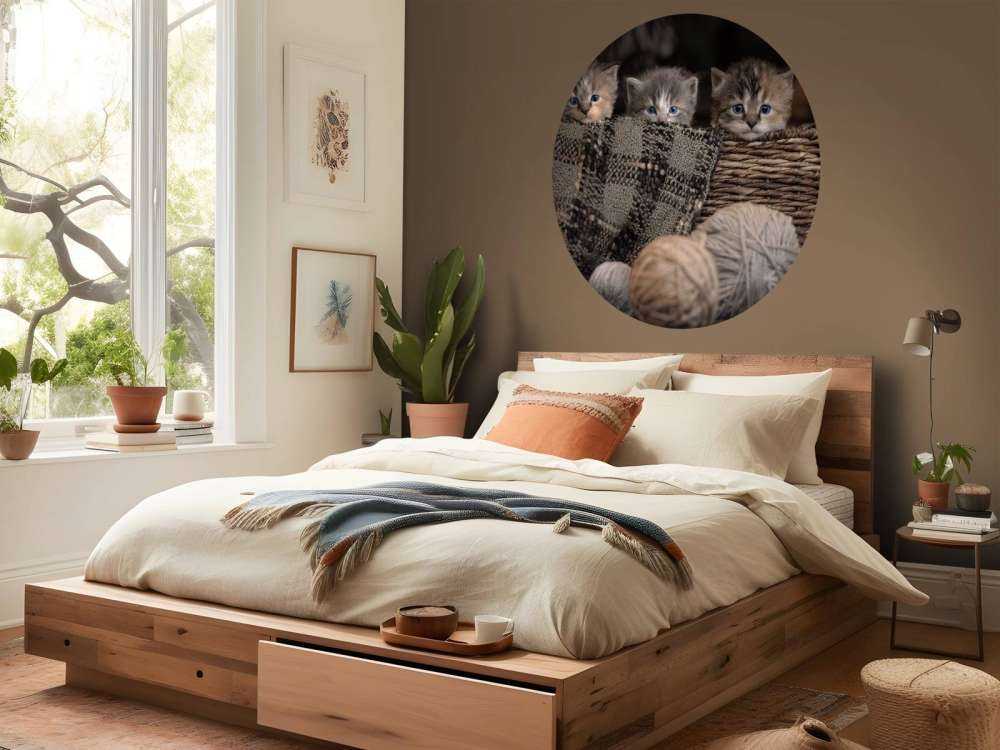 Trois chatons dans un panier