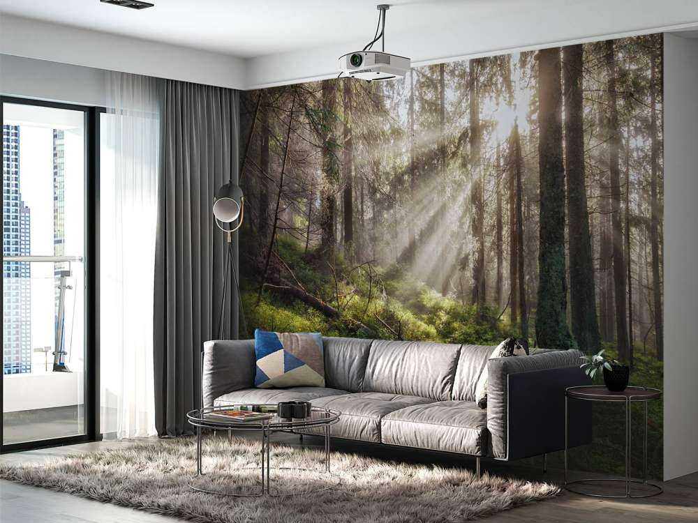 Forêt d'automne ensoleillée