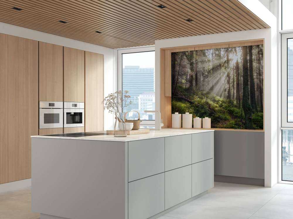 Forêt d'automne ensoleillée