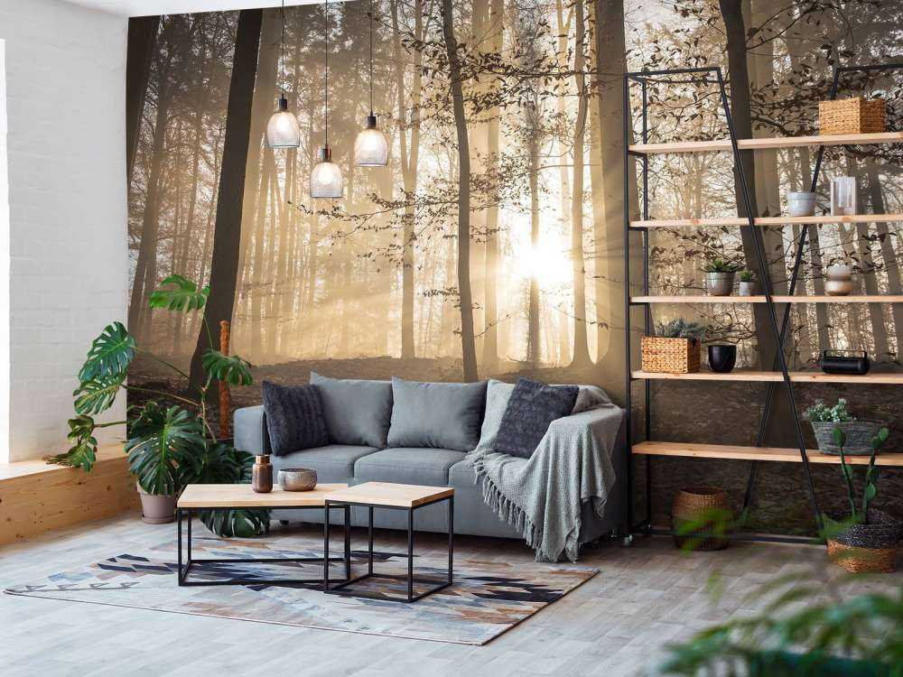 Soleil dans une forêt brumeuse