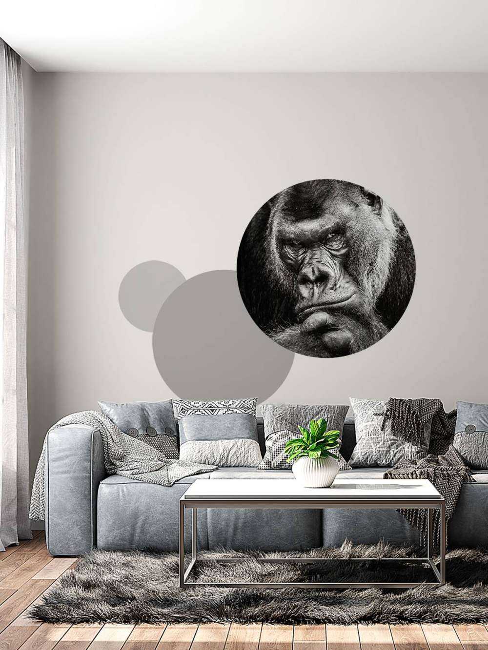 Gros plan d'un gorille