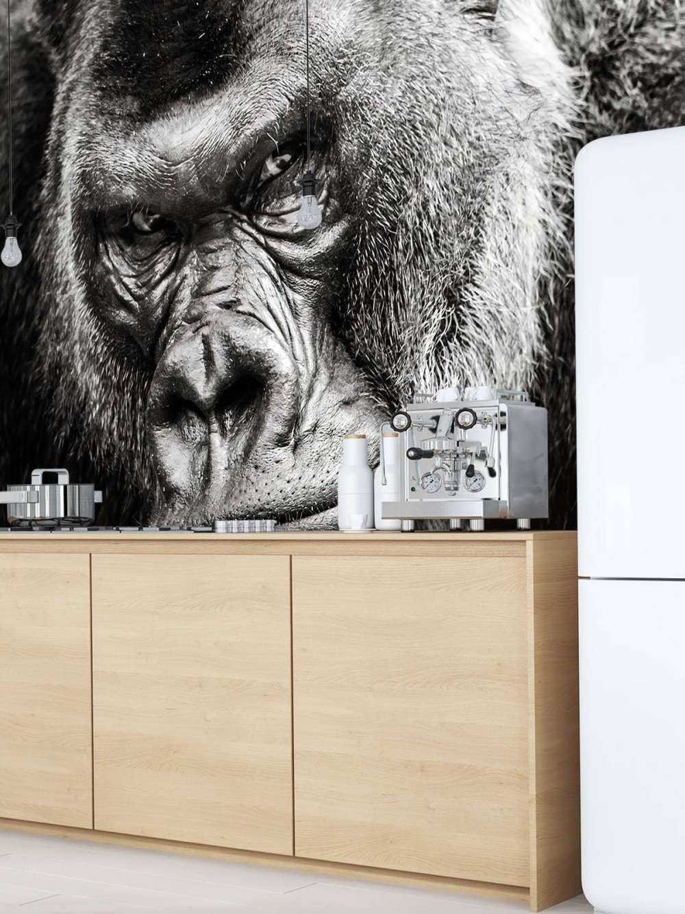 Gros plan d'un gorille