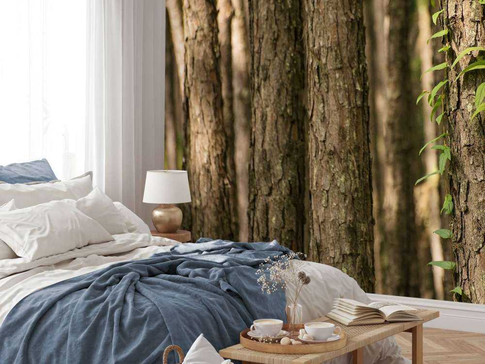 Troncs d'arbres minces