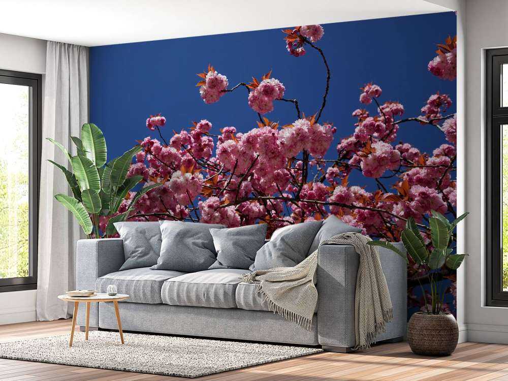 Fleur rose avec ciel bleu