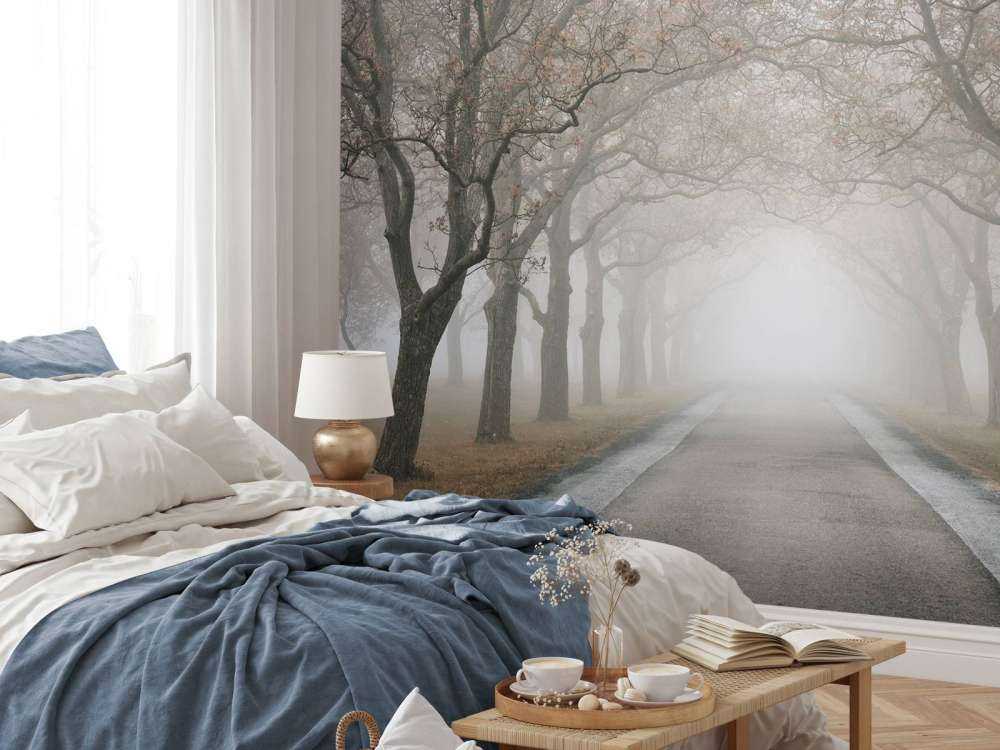 Route avec de vieux arbres