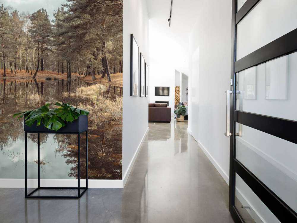 Arbres près d'un lac