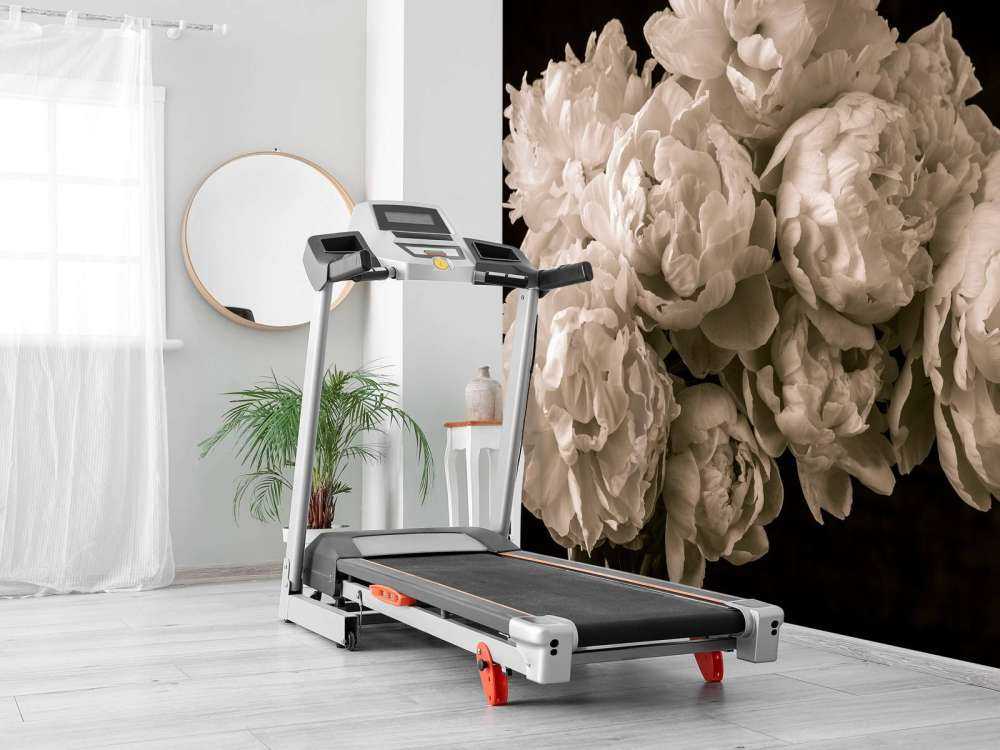 Bouquet&#x20;de&#x20;pivoines&#x20;vintage