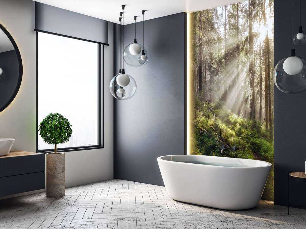 Forêt d'automne ensoleillée