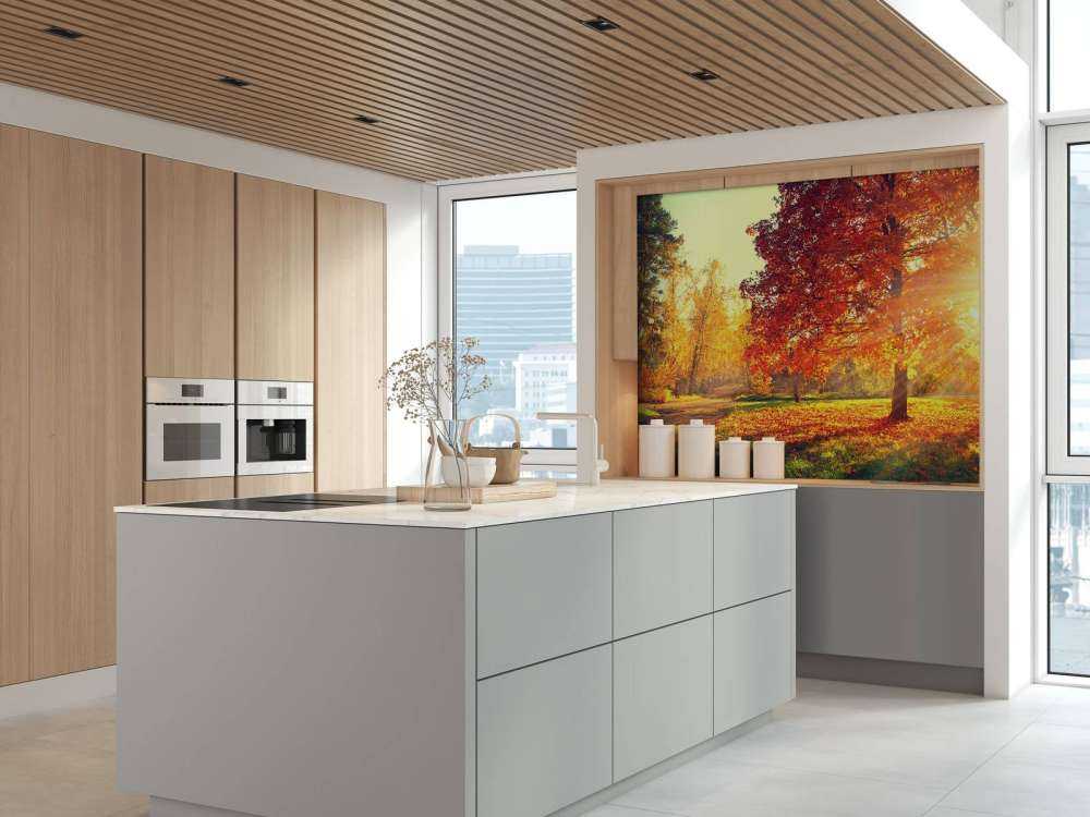 Arbres d'automne au soleil