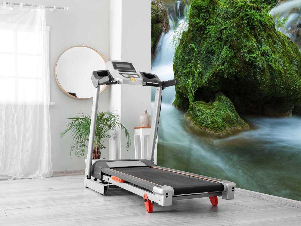 Chute d'eau dans la forêt