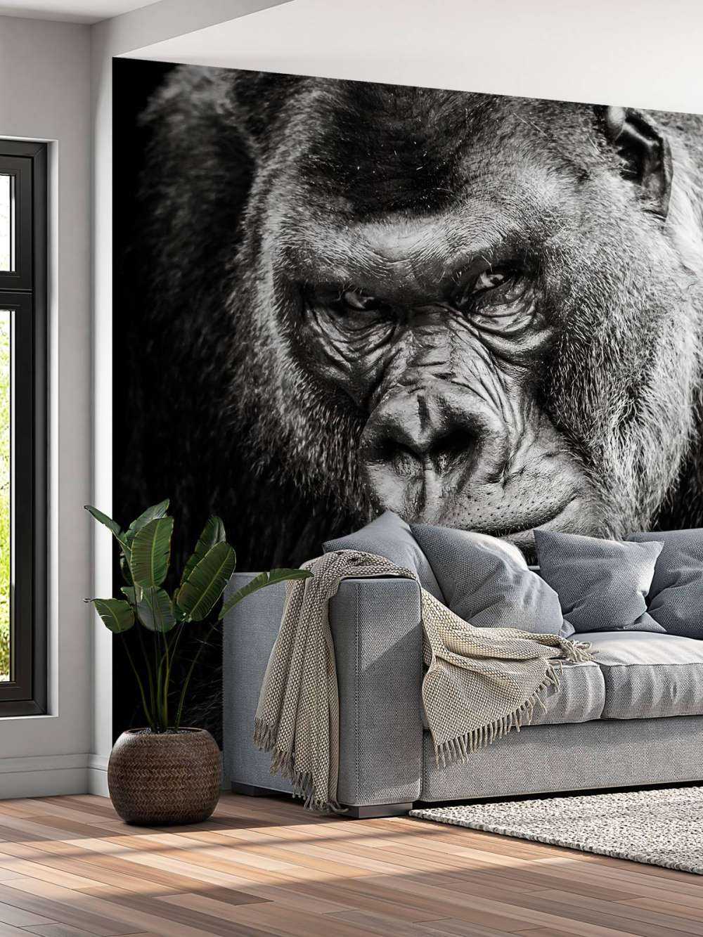 Gros plan d'un gorille