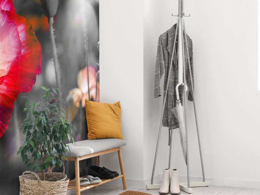 Coquelicots en noir, blanc, rouge