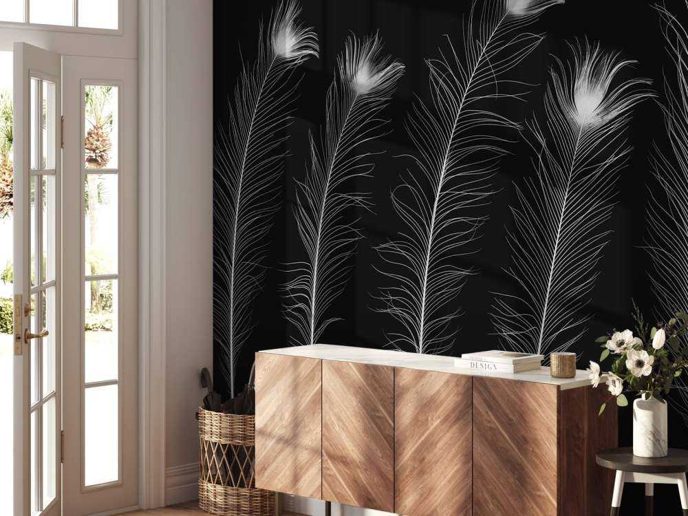 Plumes de paon blanches