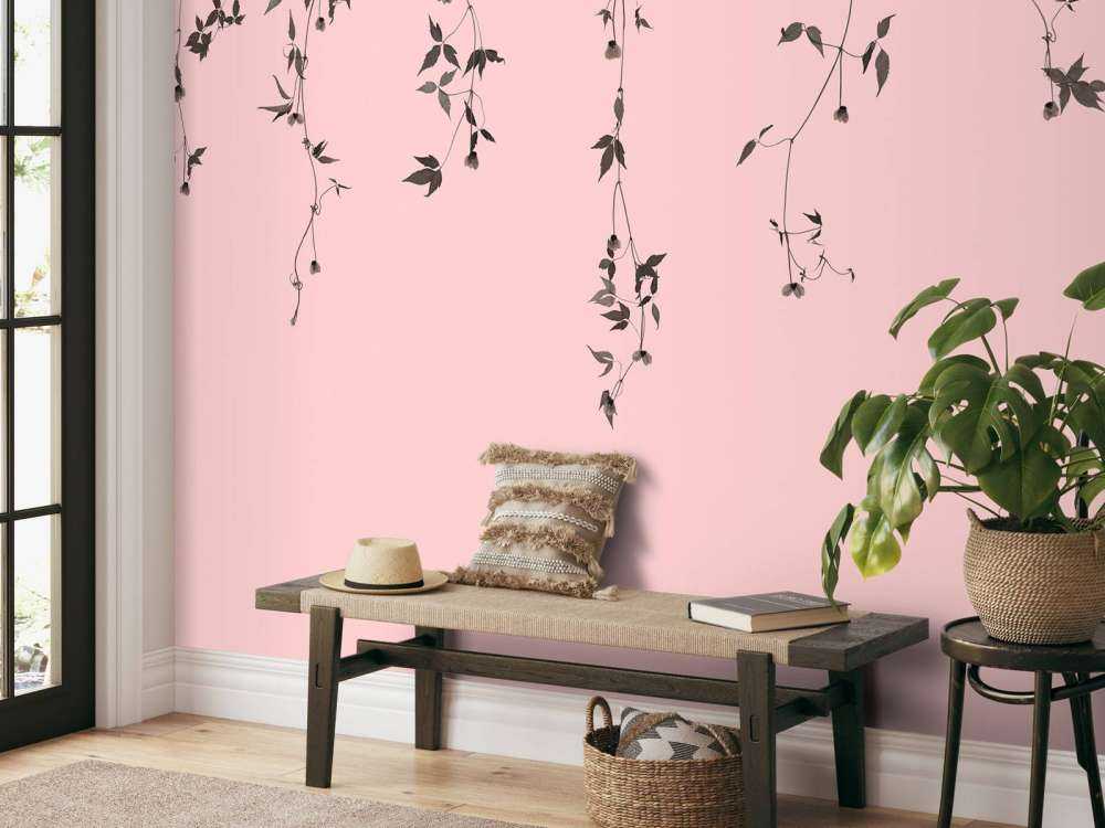 Brins de clématite rose