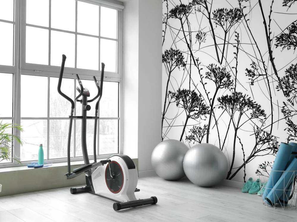 Silhouette of dried plants