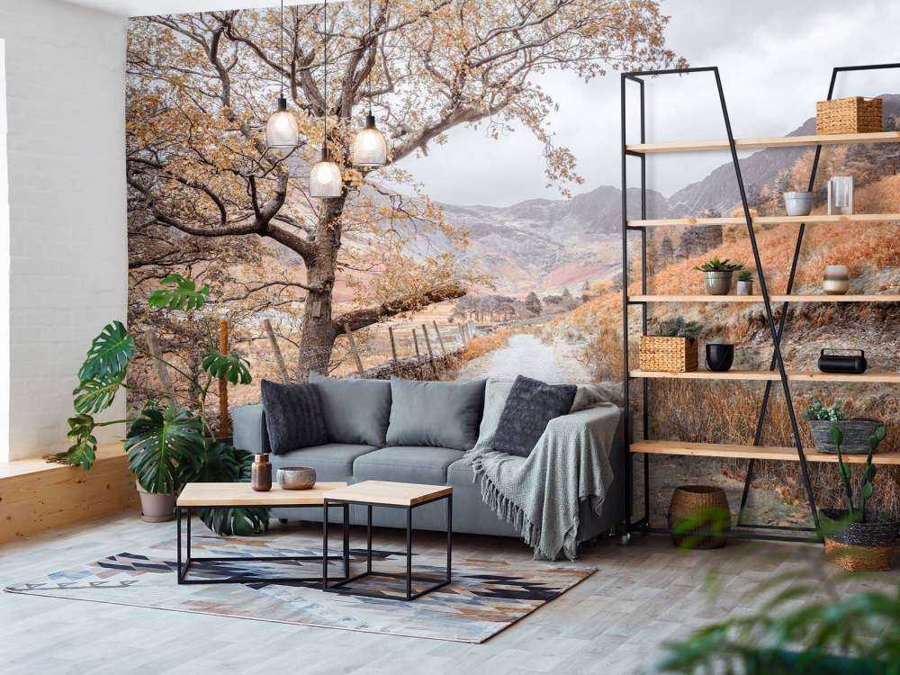 Chemin entre les montagnes