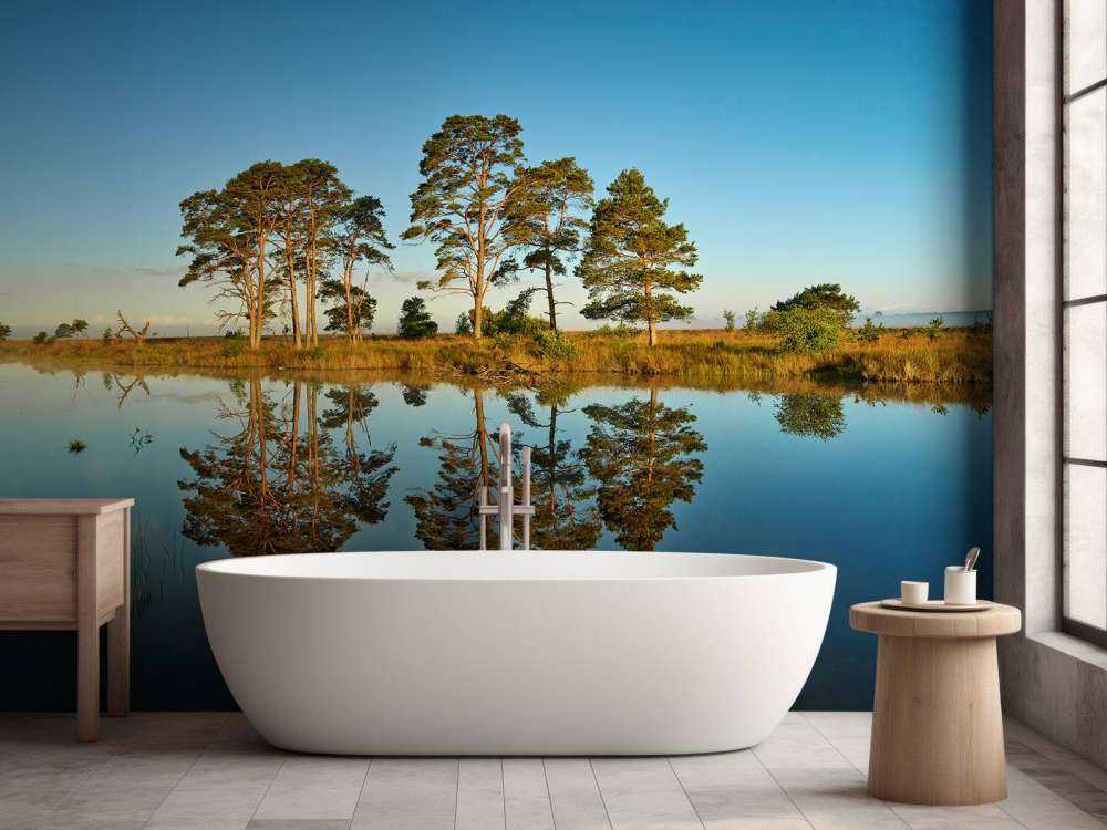 Réflexion dans un lac de forêt