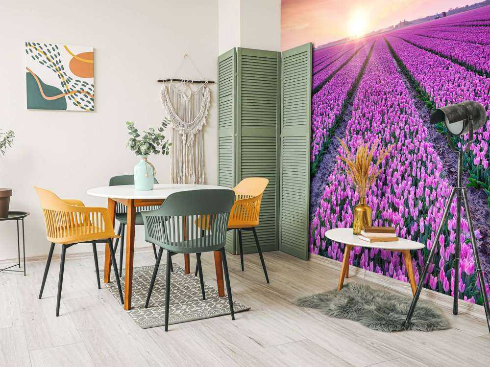 Champ de tulipes au lever du soleil