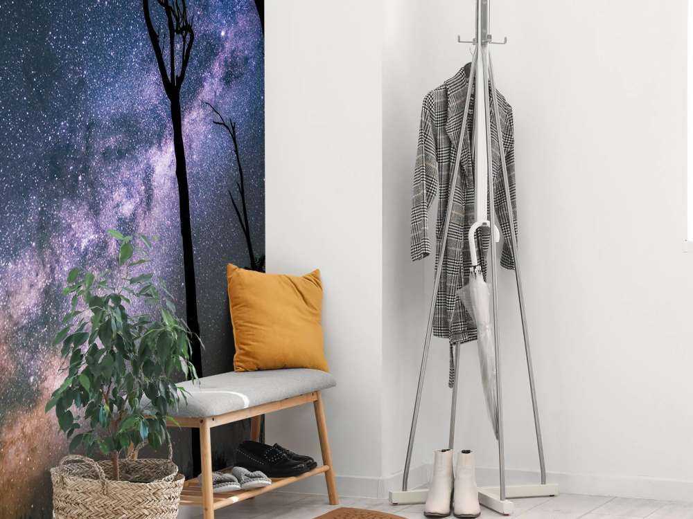 Des étoiles entre les arbres