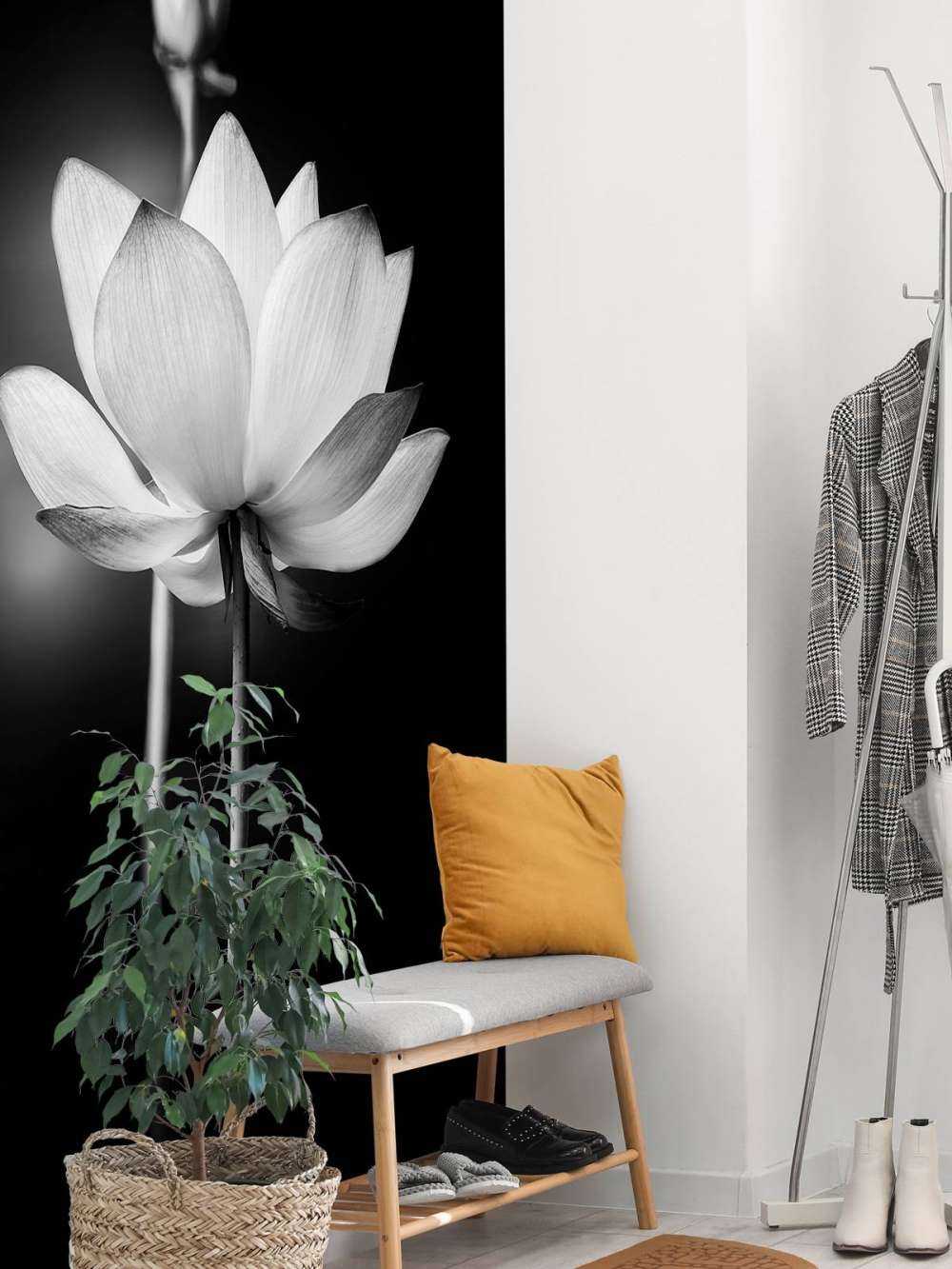 Fleurs de lotus en noir et blanc