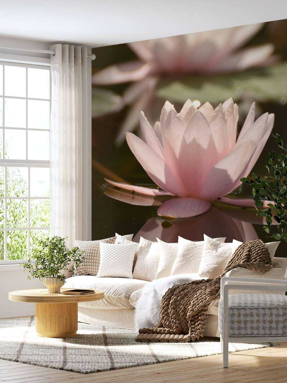 Fleur de lotus dans l'eau