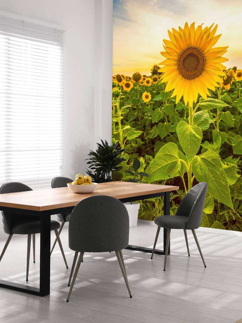 Le tournesol dans les champs