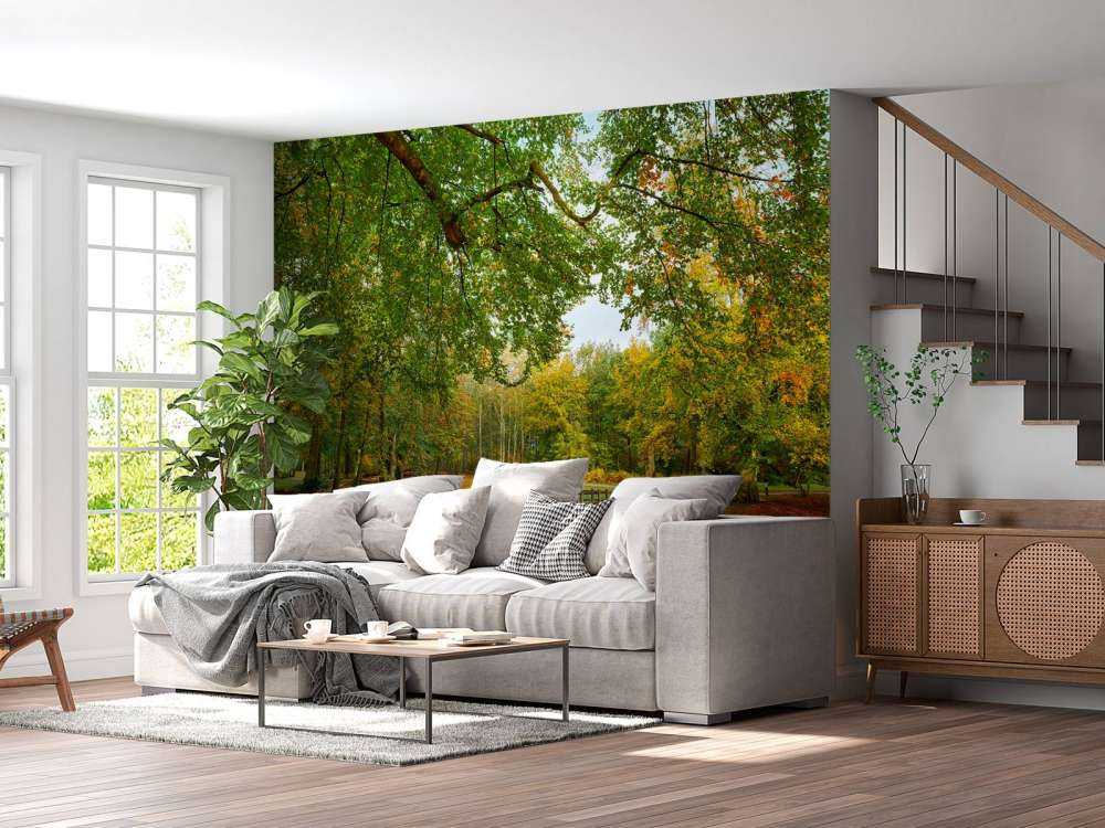 Un pont dans la forêt