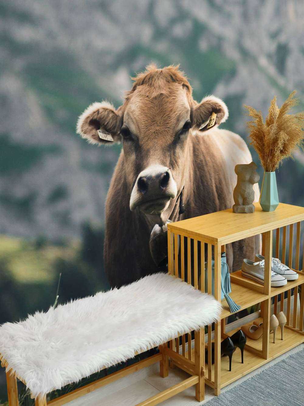 Vache de montagne