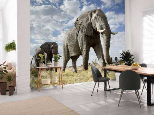 Le passage des éléphants