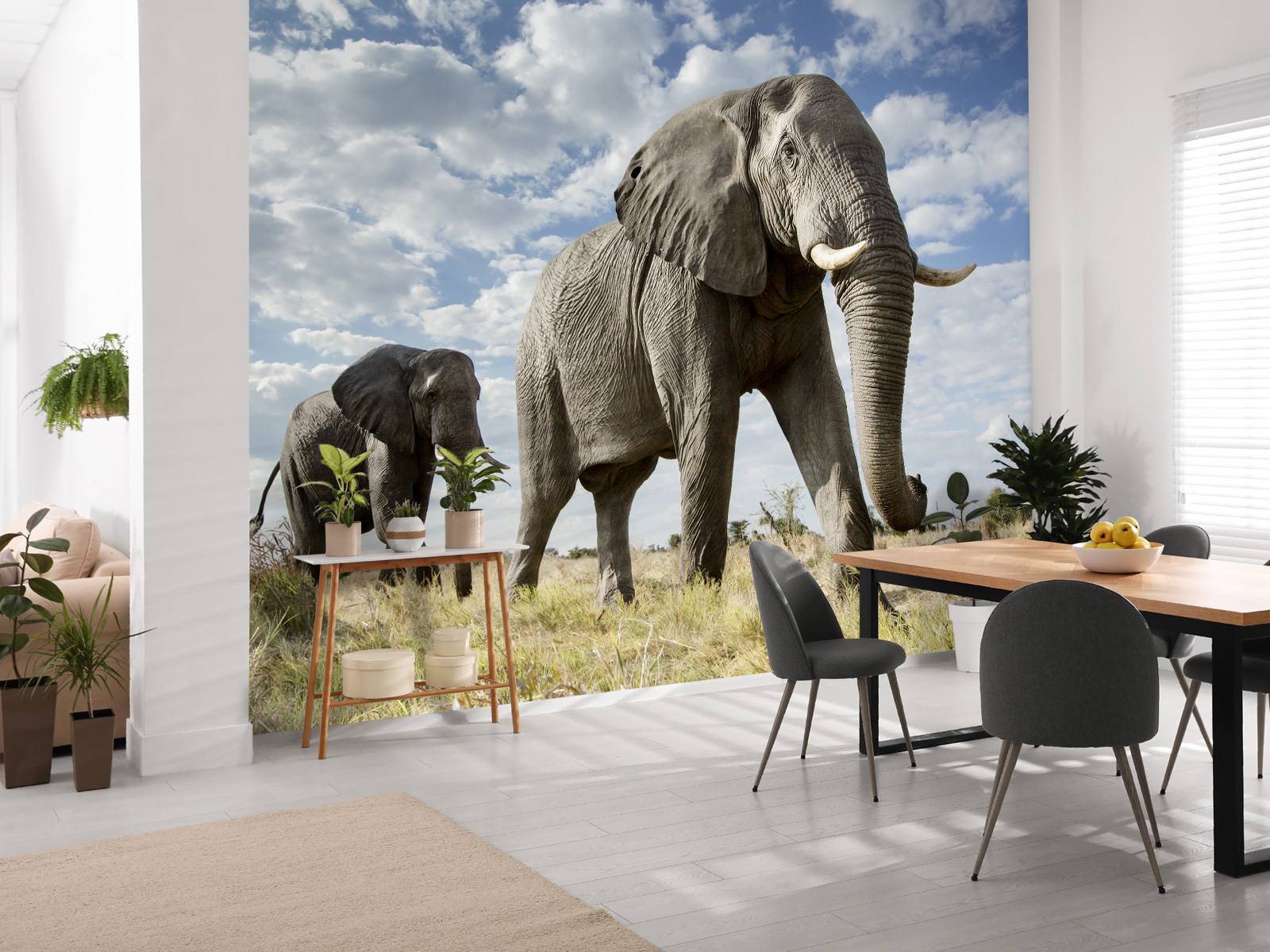 Le passage des éléphants
