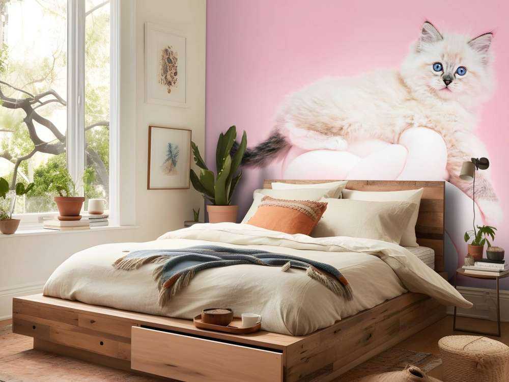 Chat blanc sur fond rose