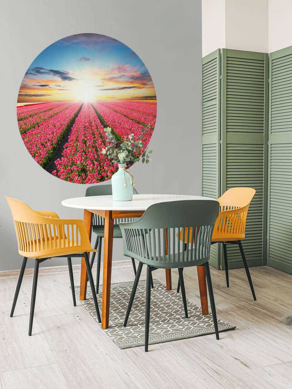 Tulipes avec le soleil levant