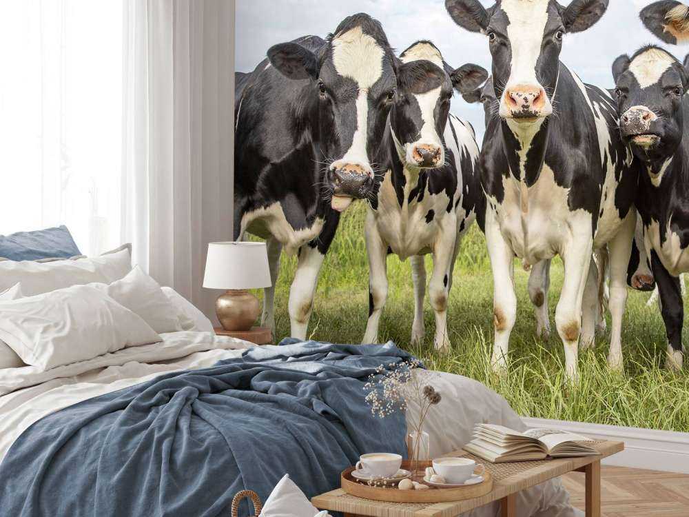 Troupeau de vaches