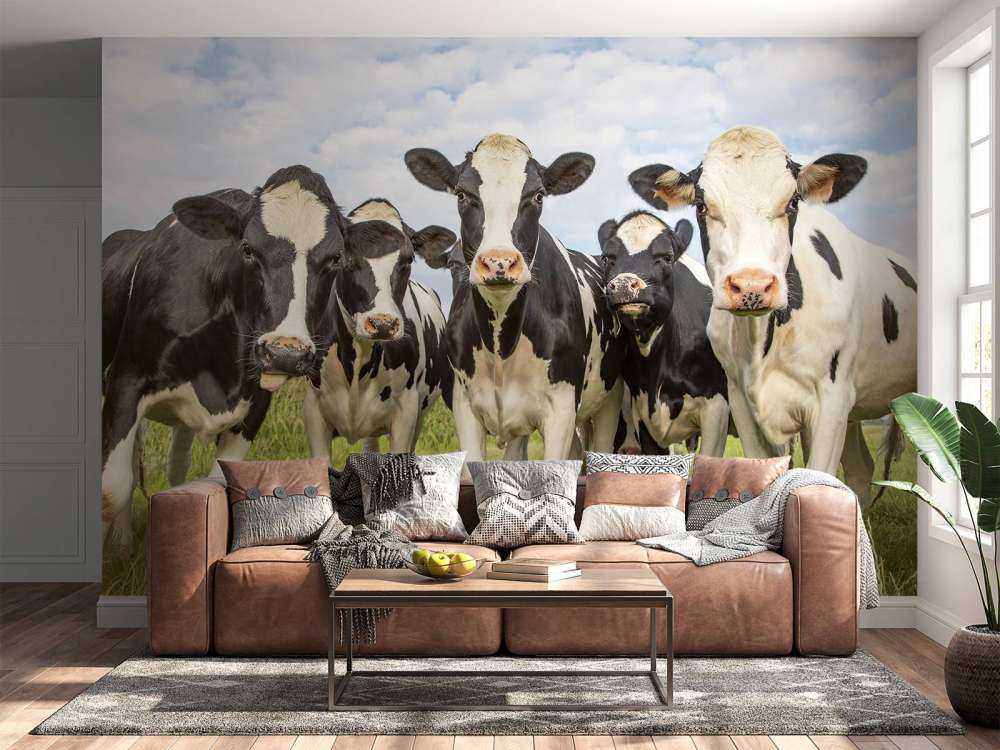 Troupeau de vaches