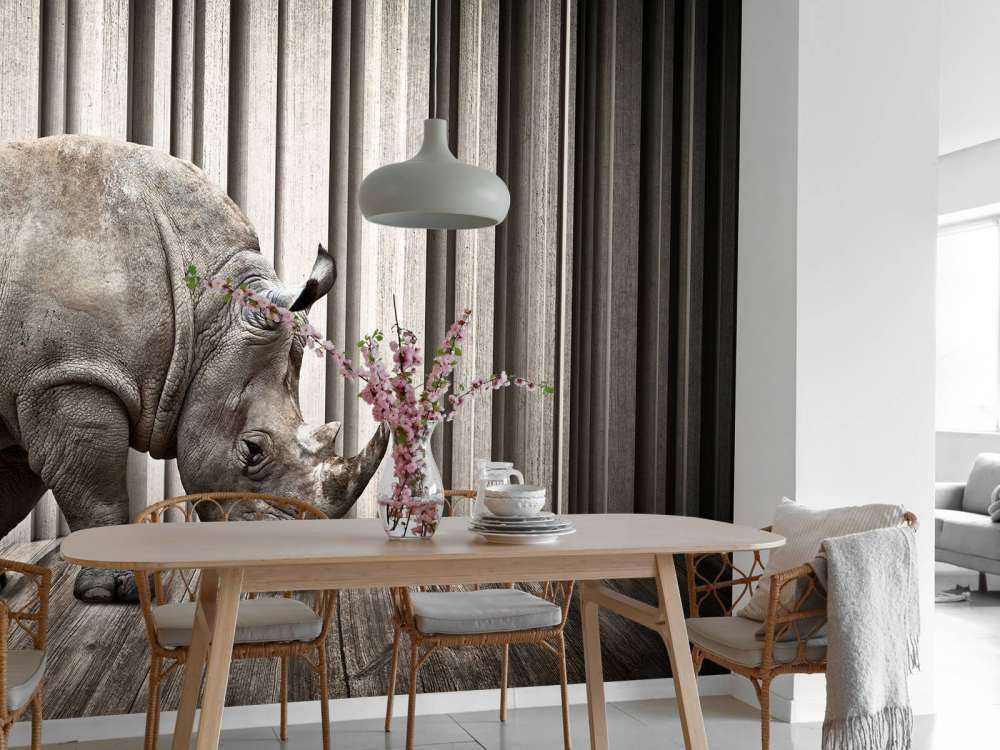 Rhinocéros dans le hall