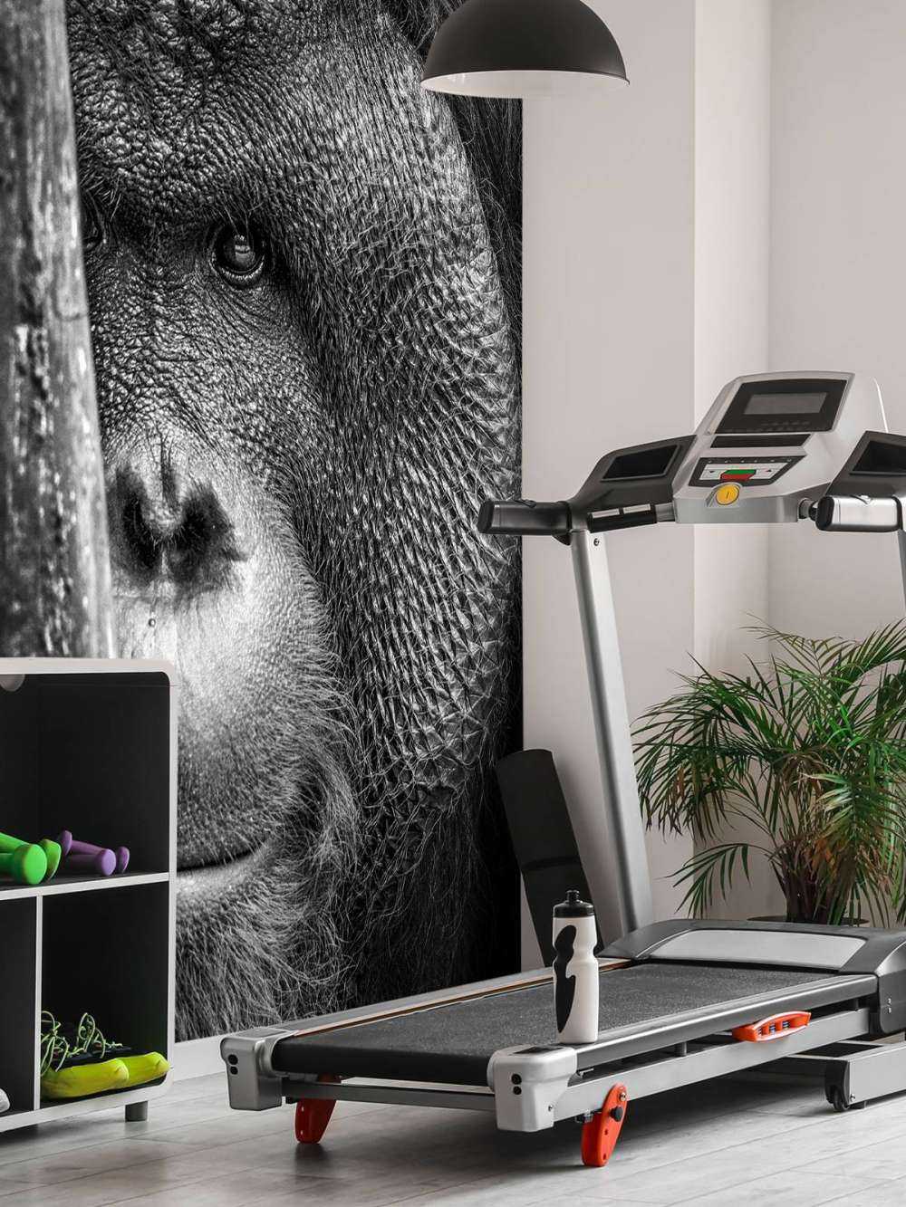 Orang-outan noir et blanc