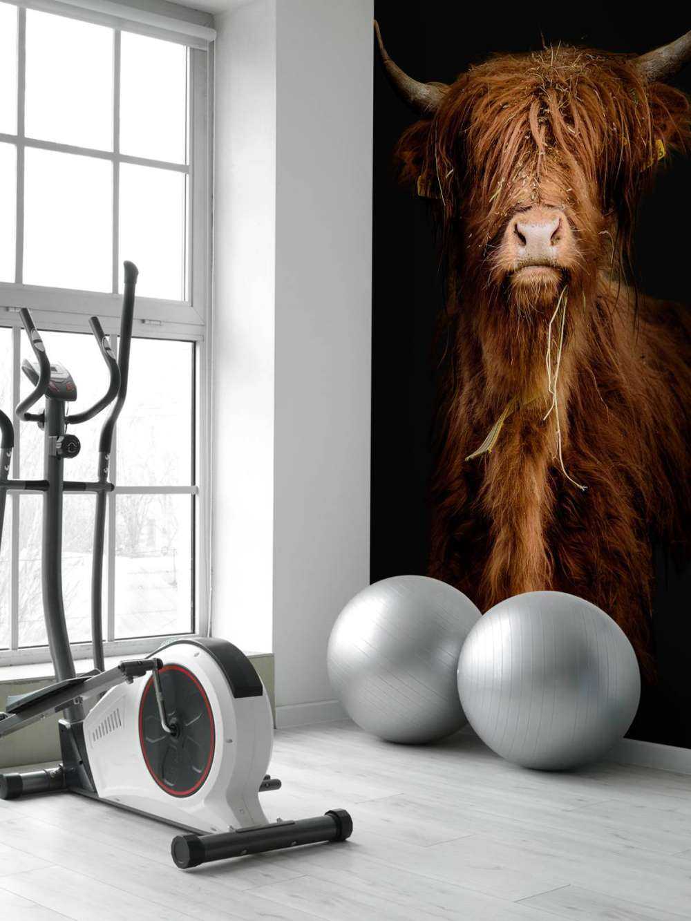 Portrait Scottish Highlander