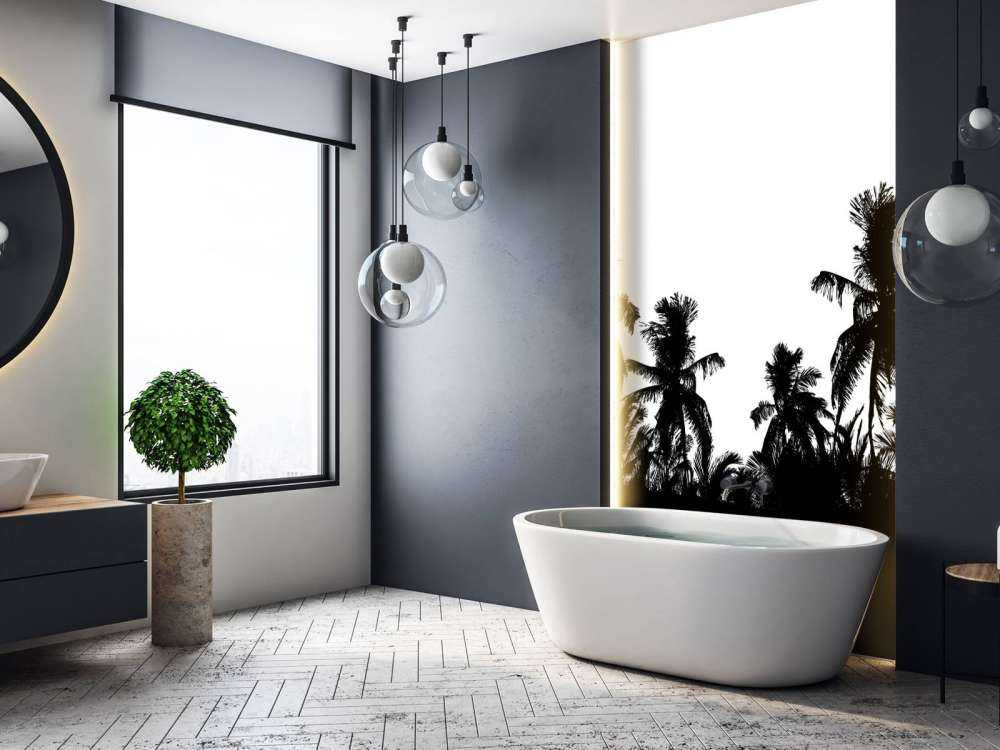 Silhouette de palmiers