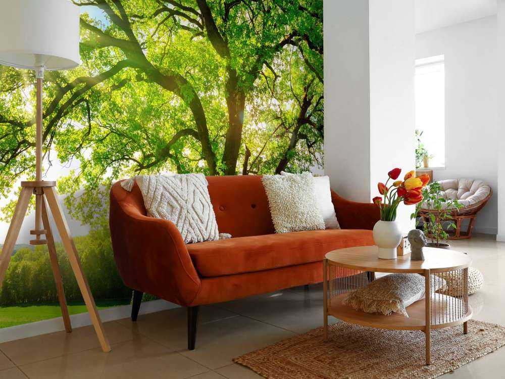 Arbre à rayons de soleil