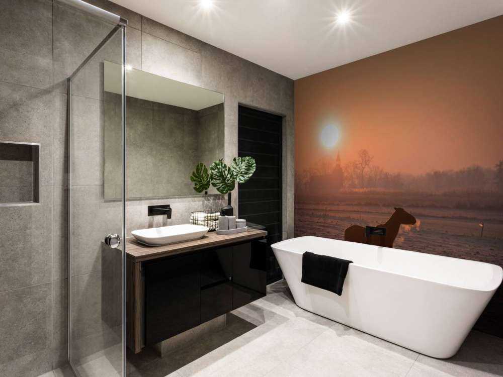 Cheval dans la lueur du matin